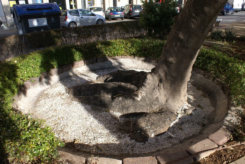 The hand of the tree - Valencia 2010. © Richard Gladwell www.photosport.co.nz